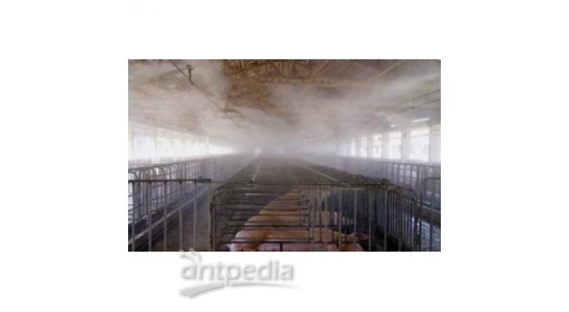 养鸡厂空气加湿器