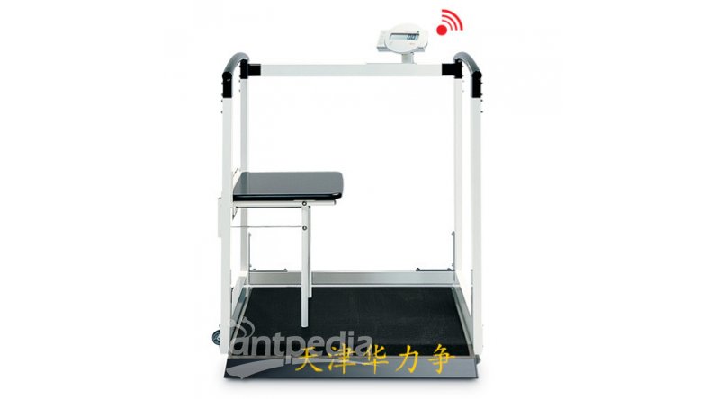 电子轮椅秤/座椅轮椅体重仪/北京台秤