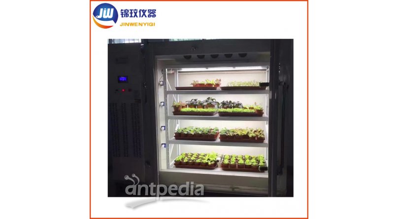 锦玟 DGX-1100冷光源植物生长箱