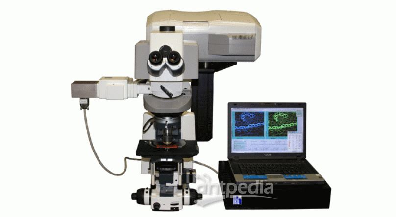 共聚焦荧光显微镜升级