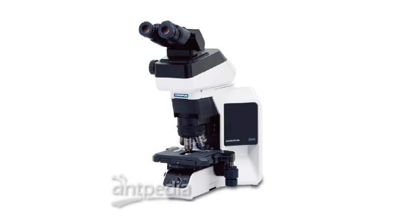 奥林巴斯BX46临床正置显微镜