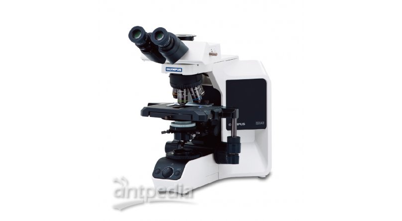  奥林巴斯BX43手动系统显微镜（正置 ）
