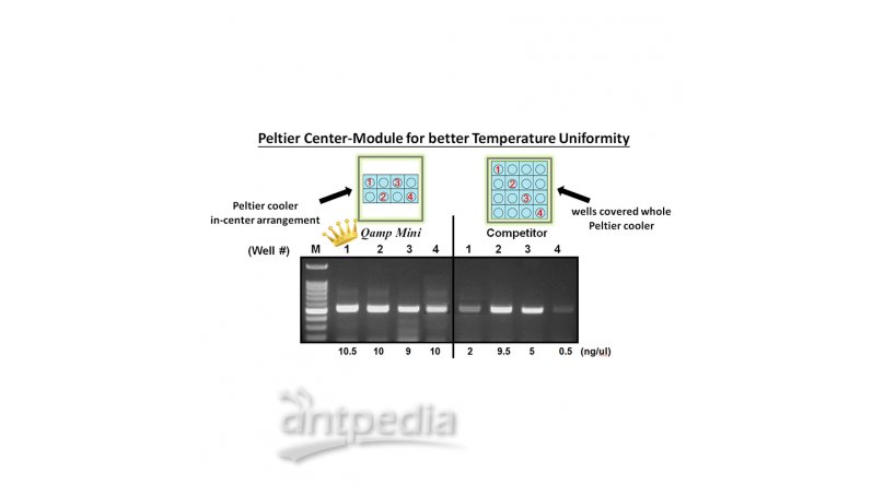 Qamp mini 便携式PCR仪